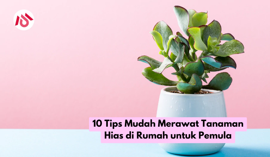 10 Tips Mudah Merawat Tanaman Hias di Rumah untuk Pemula