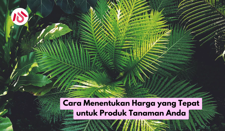 Cara Menentukan Harga yang Tepat untuk Produk Tanaman Anda