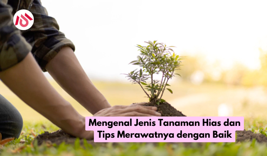 Mengenal Jenis Tanaman Hias dan Tips Merawatnya dengan Baik