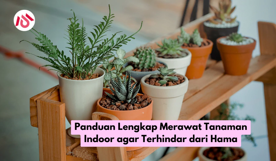 Panduan Lengkap Merawat Tanaman Indoor agar Terhindar dari Hama